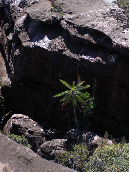 071114 - Auyan Tepui - 025