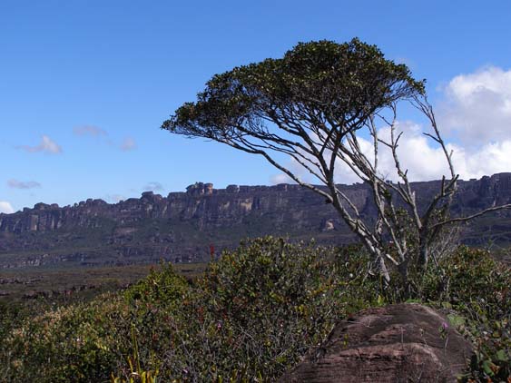 071114 - Auyan Tepui - 030