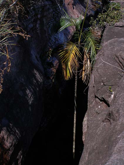 071114 - Auyan Tepui - 034