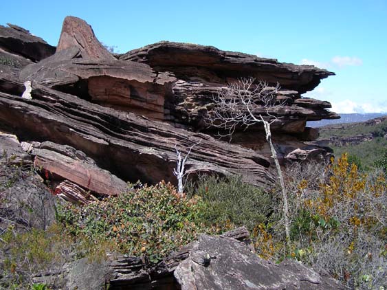 071114 - Auyan Tepui - 040