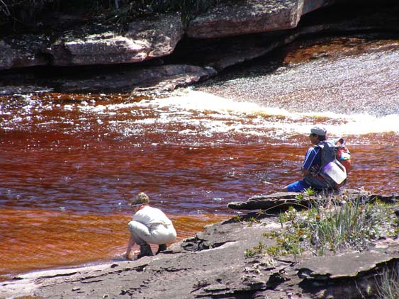 071114 - Auyan Tepui - 043