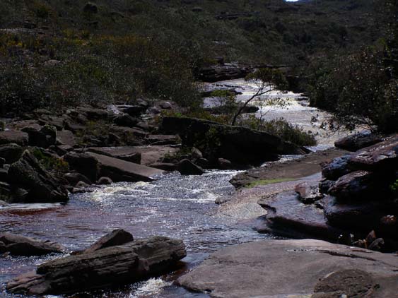 071114 - Auyan Tepui - 048