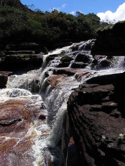 071114 - Auyan Tepui - 059