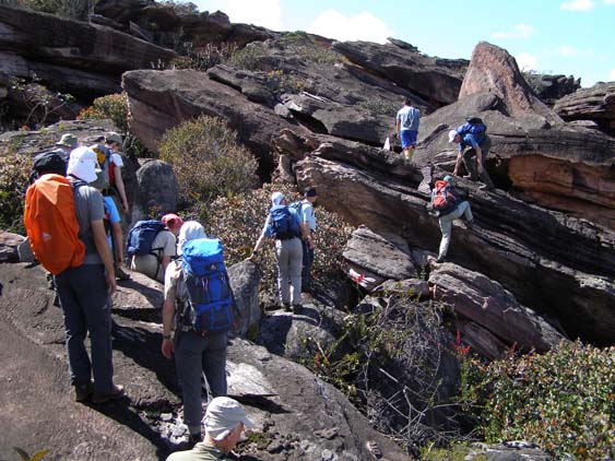 071114 - Auyan Tepui - 081