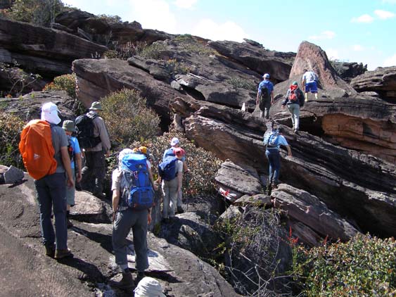 071114 - Auyan Tepui - 082