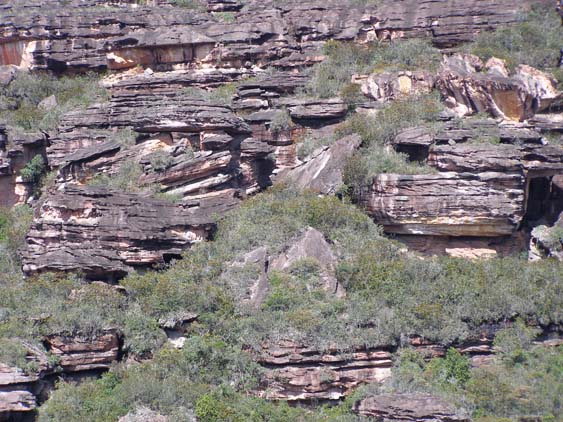 071114 - Auyan Tepui - 084