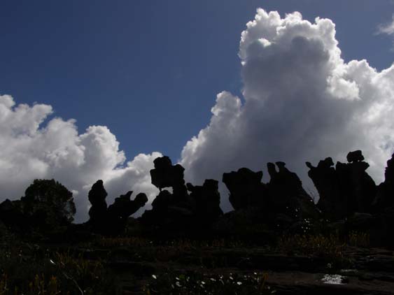 071114 - Auyan Tepui - 087