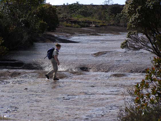 071115_-_El_Oso_-_El_Penon_-_004