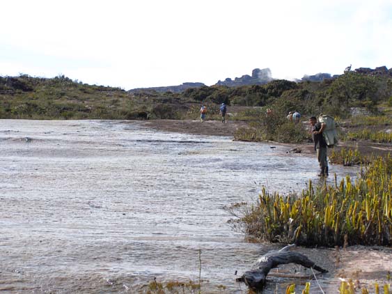 071115_-_El_Oso_-_El_Penon_-_006