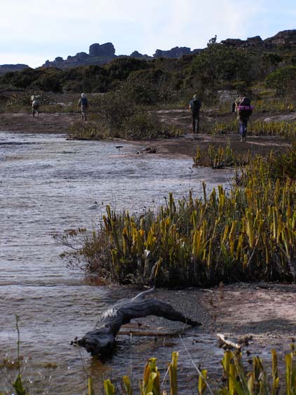 071115_-_El_Oso_-_El_Penon_-_008