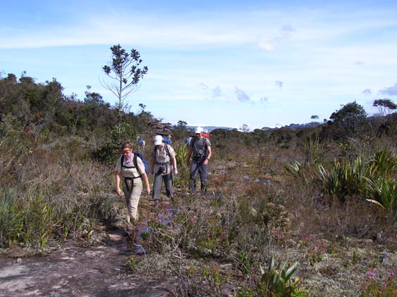 071115_-_El_Oso_-_El_Penon_-_011