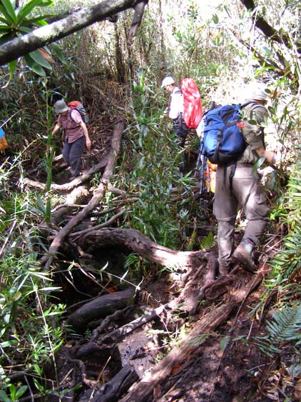 071115_-_El_Oso_-_El_Penon_-_022