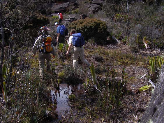 071115_-_El_Oso_-_El_Penon_-_027