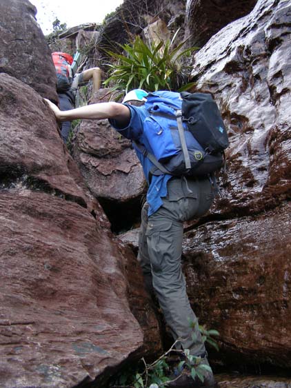 071115_-_El_Oso_-_El_Penon_-_045