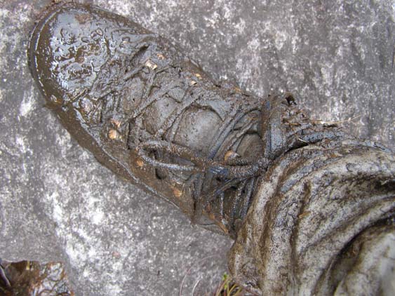 071115_-_El_Oso_-_El_Penon_-_046