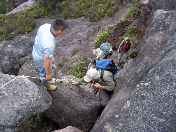 071115_-_El_Oso_-_El_Penon_-_047