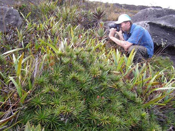 071115_-_El_Oso_-_El_Penon_-_048