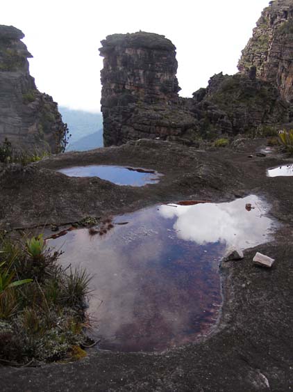 071115_-_El_Oso_-_El_Penon_-_063