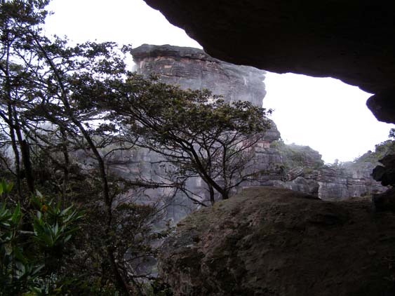 071115_-_El_Oso_-_El_Penon_-_073