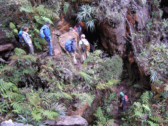 071115_-_El_Oso_-_El_Penon_-_075