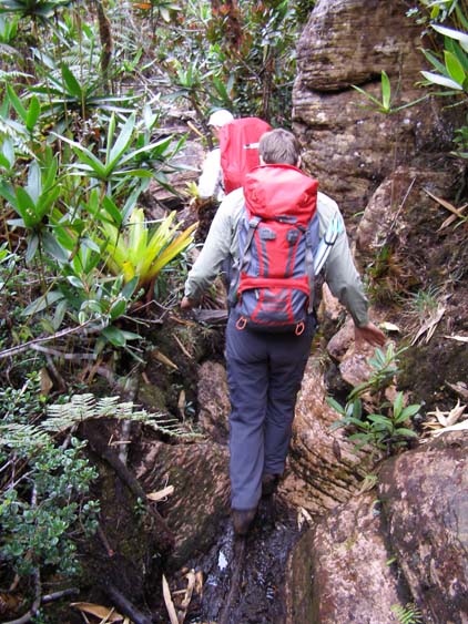 071115_-_El_Oso_-_El_Penon_-_081