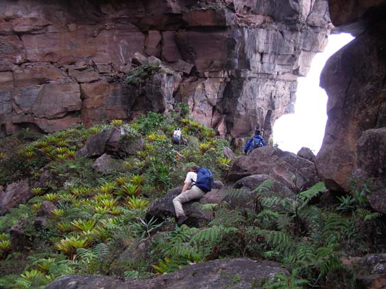 071115_-_El_Oso_-_El_Penon_-_088