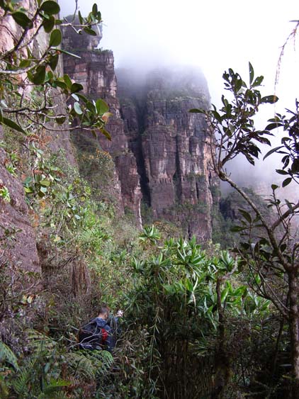 071115_-_El_Oso_-_El_Penon_-_089