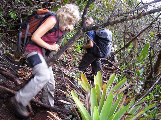 071115_-_El_Oso_-_El_Penon_-_091