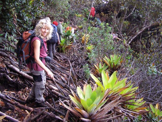 071115_-_El_Oso_-_El_Penon_-_093