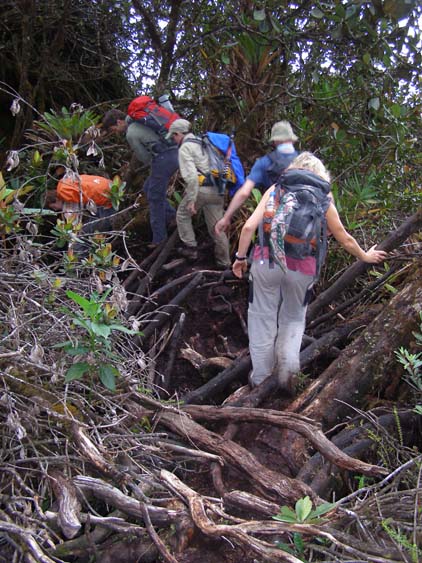 071115_-_El_Oso_-_El_Penon_-_094