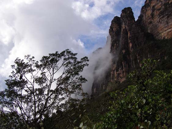 071115_-_El_Oso_-_El_Penon_-_097