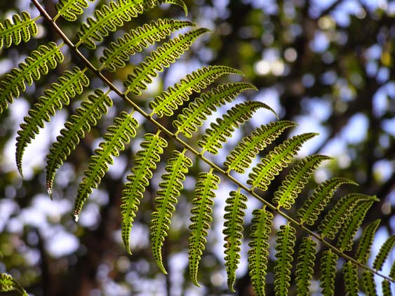 071116_-_El_Penon_-_Uruyen_-_021