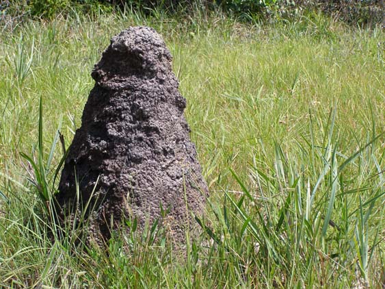 071116_-_El_Penon_-_Uruyen_-_035