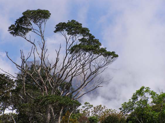 071116_-_El_Penon_-_Uruyen_-_037