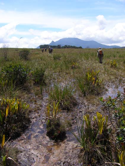 071116_-_El_Penon_-_Uruyen_-_045