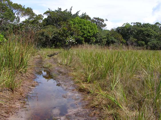 071116_-_El_Penon_-_Uruyen_-_062