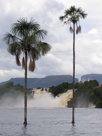 071117 - Uruyen - Canaima - 027