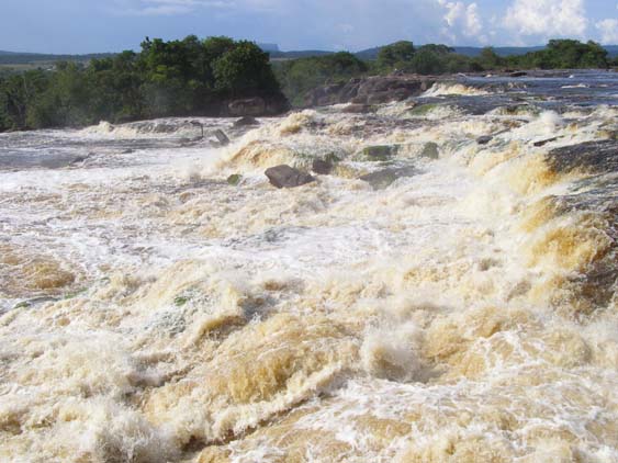 071117 - Uruyen - Canaima - 033