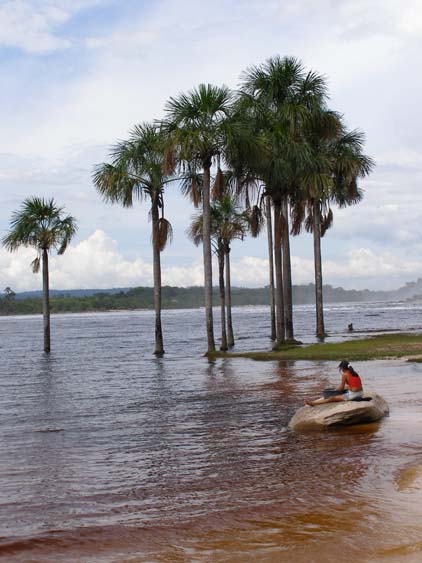 071117_-_Uruyen_-_Canaima_-_030