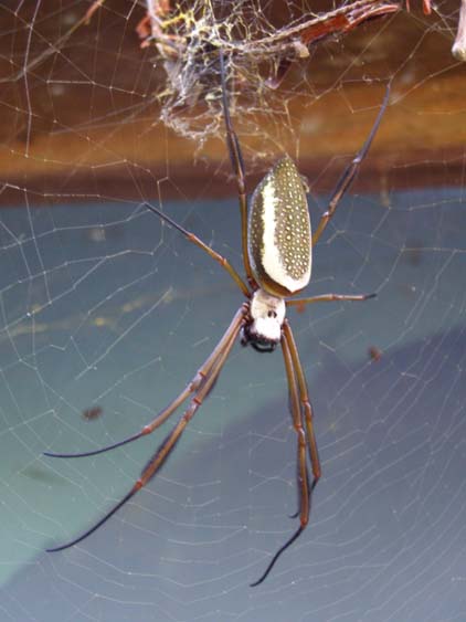 071119 - Salto Angel - Canaima - 017