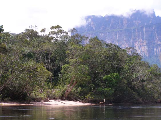 071119 - Salto Angel - Canaima - 033