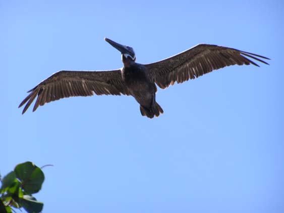 071121 - Puerto Colombia - 009