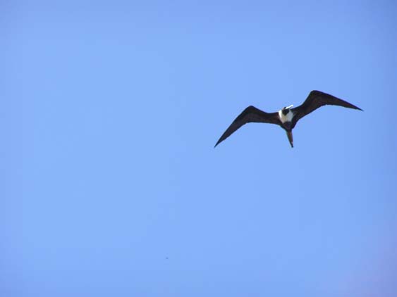 071121 - Puerto Colombia - 013