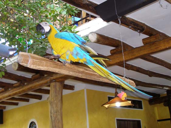 071121 - Puerto Colombia - 024