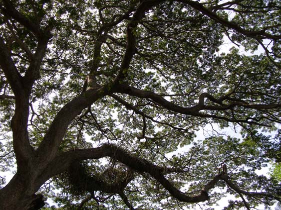 071122_-_Puerto_Colombia_-_Choao_-_026