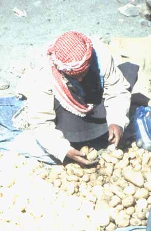 Mann mit Kartoffeln