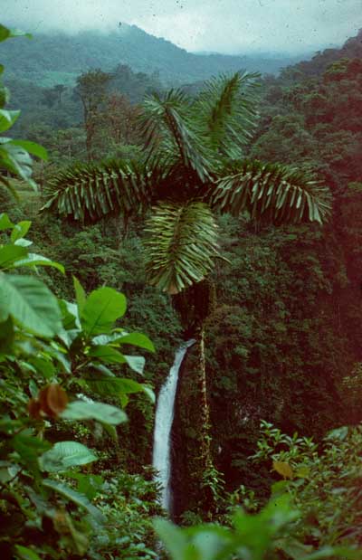 Costa Rica 001