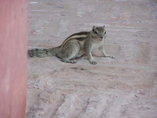 Agra_Okt_2005_PA040049