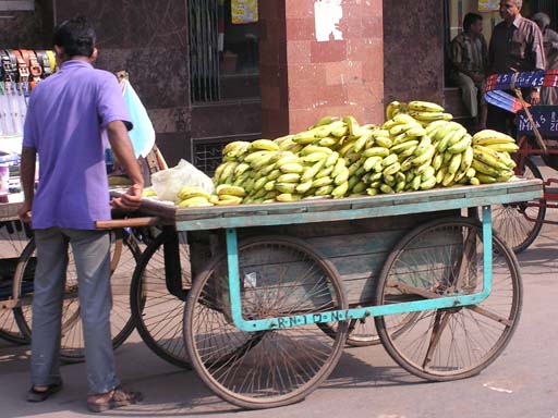 Delhi_Okt_2004_PB014246