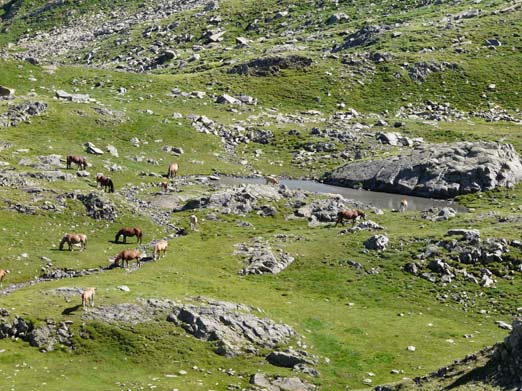 Franzoesische_Pyrenaeen_097